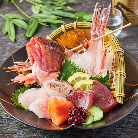 本日の鮮魚のお刺身5点盛り