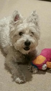 Photo of Vito