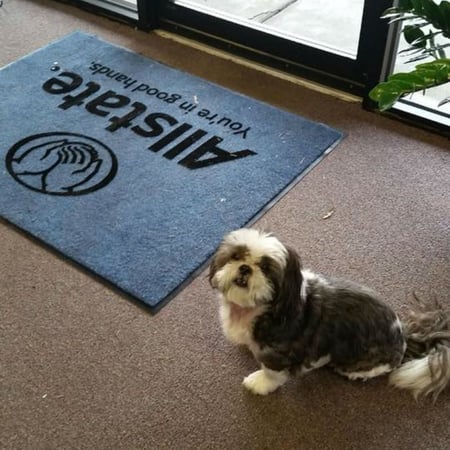 Photo of agent