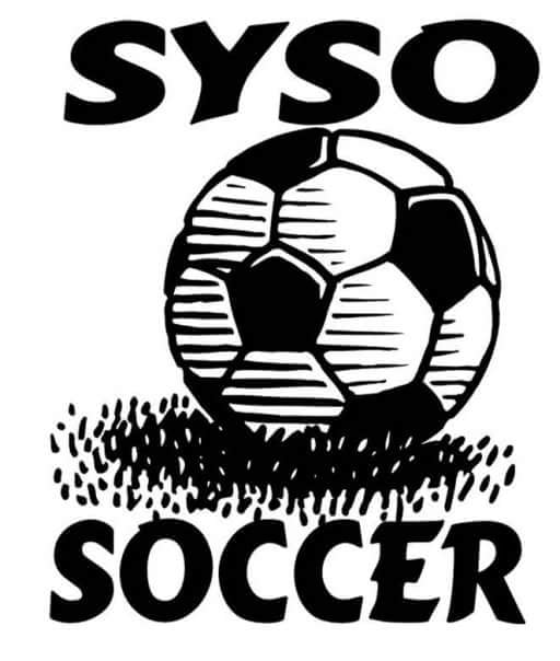 Vice President of SYSO youth recreational soccer league