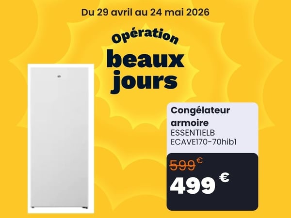 Congélateur armoire ESSENTIELB ECAVE170-70hib1