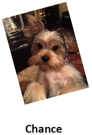 Photo of agent