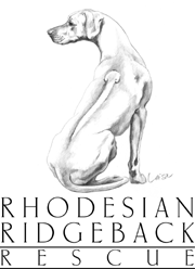 Promotional image