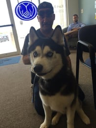 Agent photo gallery image