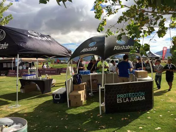 Alianza 2015
