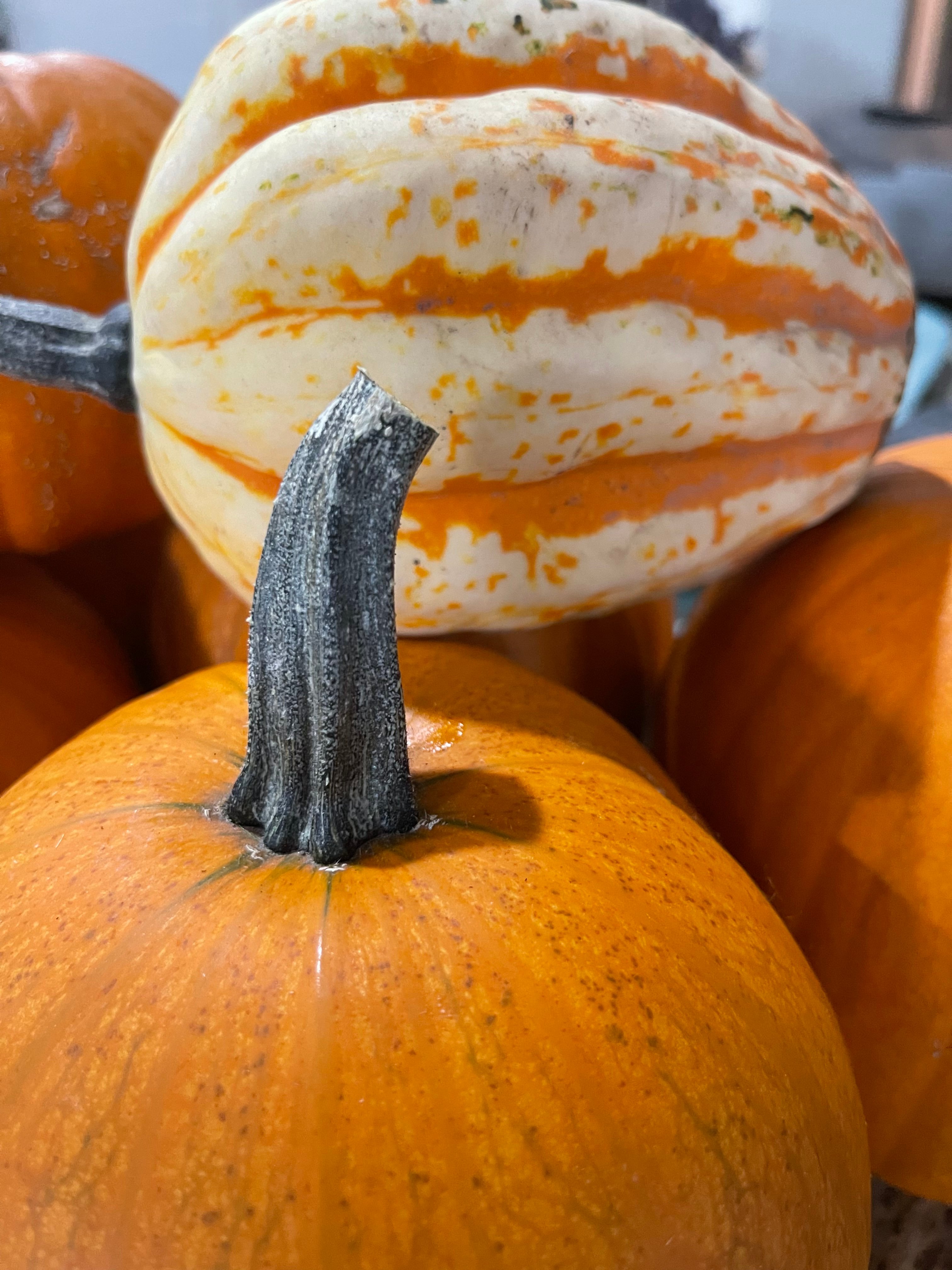 Even when the seasons change great savings don’t have to!