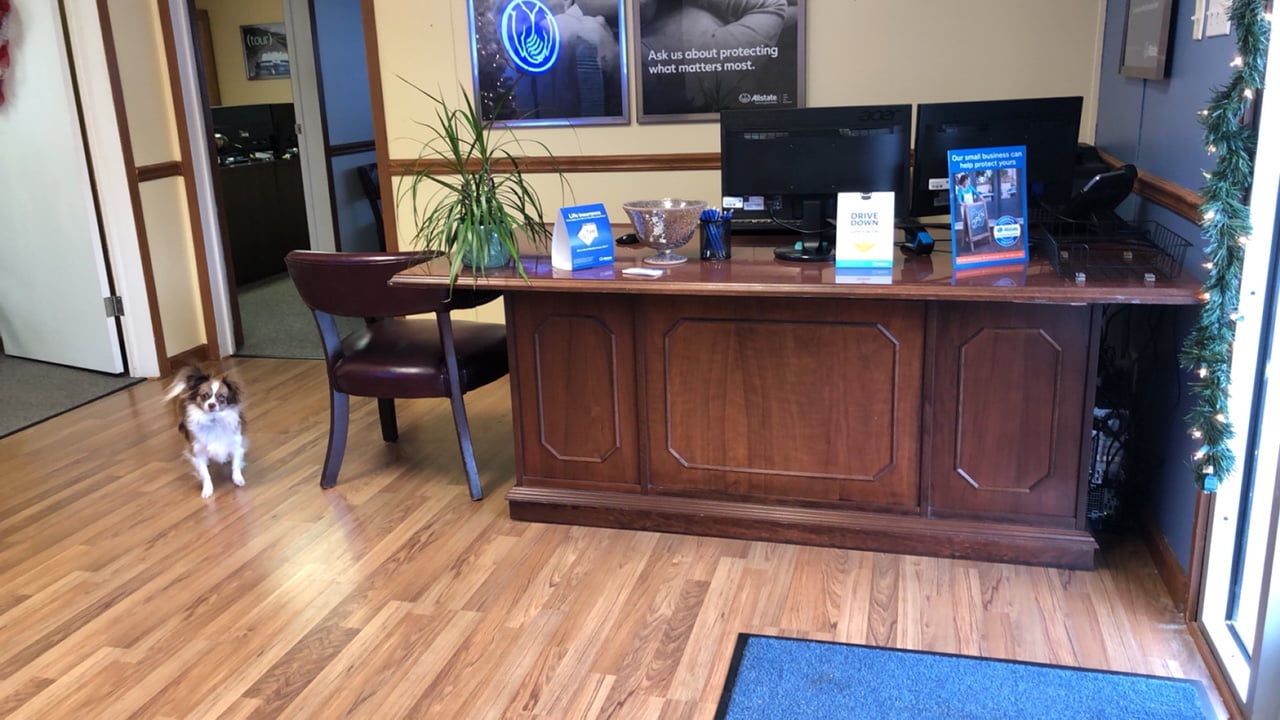 Our lobby...including our office dog Ellie.