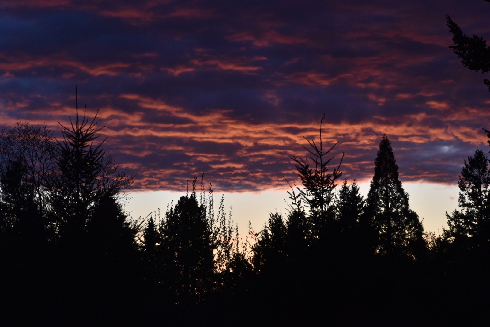 Northwest Sunset photos by Kate Byrd