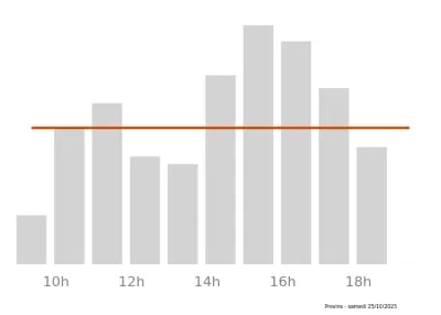 Voir le trafic sur Google maps https://maps.google.com/maps?cid=7876395890990656663