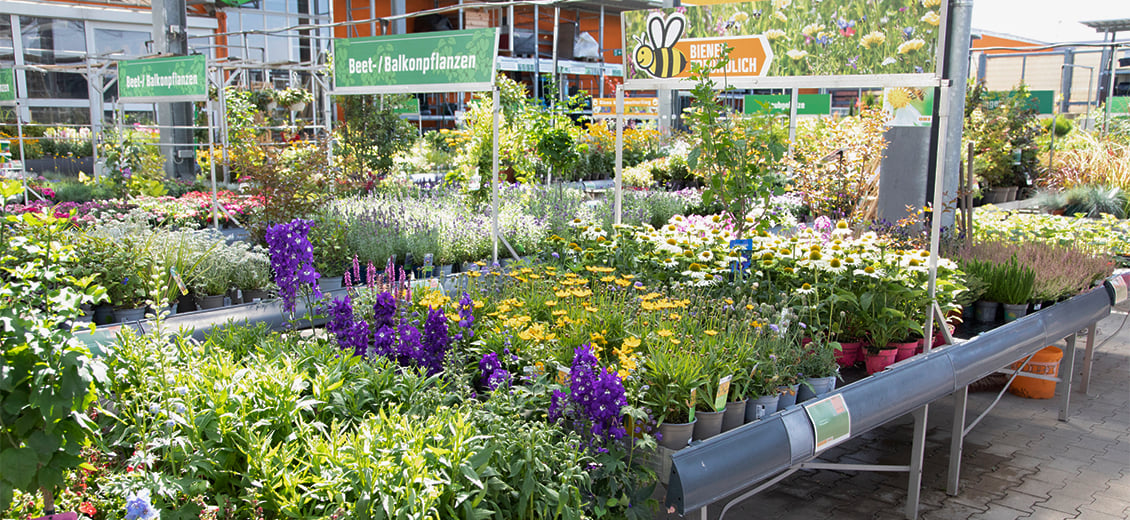 Dein OBI Markt Ebersbach, JohannAndreasSchubertStr.13