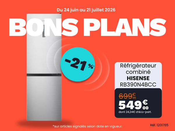 Réfrigérateur combiné HISENSE RB390N4BCC