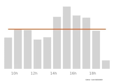 Voir le trafic sur Google maps https://maps.google.com/maps?cid=17575648914363103054