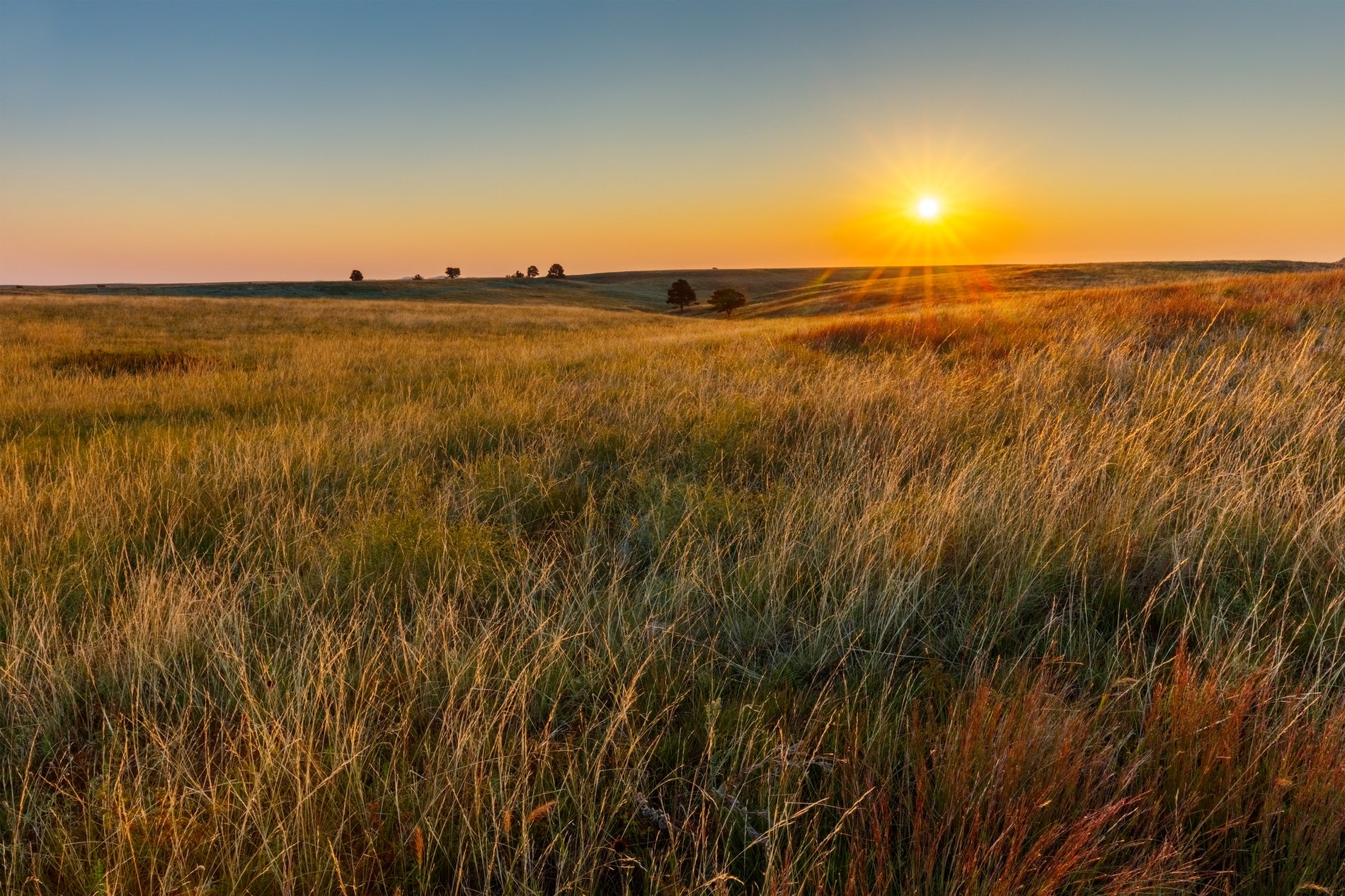 The Prairie View Group | West Des Moines, IA | Morgan Stanley Wealth