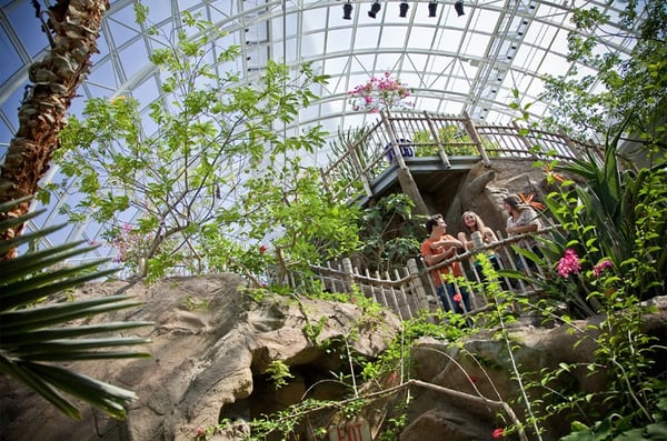 Myriad Botanical Gardens