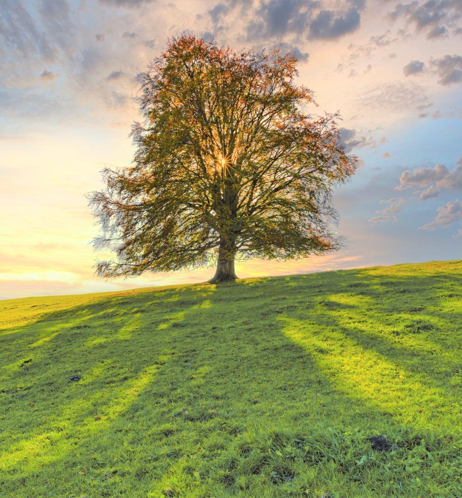 The Copper Beech Group Lawrenceville, NJ Stanley Wealth