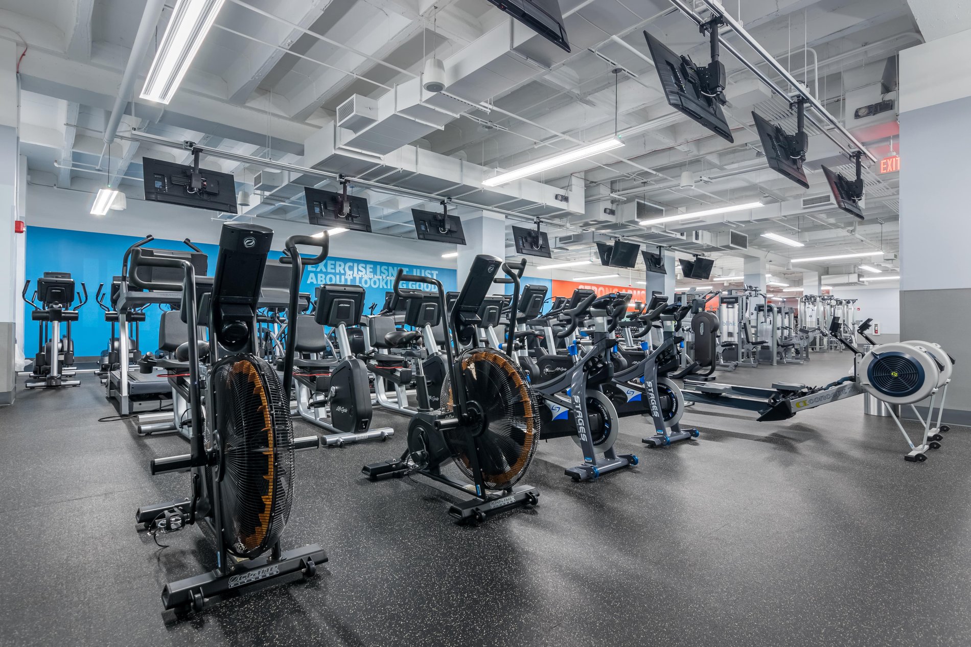 Gym & Fitness Center in Plainfield Blink Fitness Plainfield, NJ
