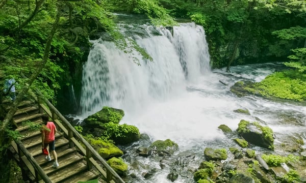 奥入瀬渓流の銚子大滝