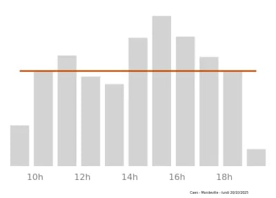 Voir le trafic sur Google maps https://maps.google.com/maps?cid=18295203355276860788