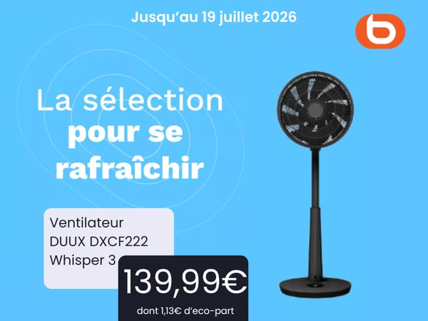 Ventilateur DUUX DXCF222 Whisper 3