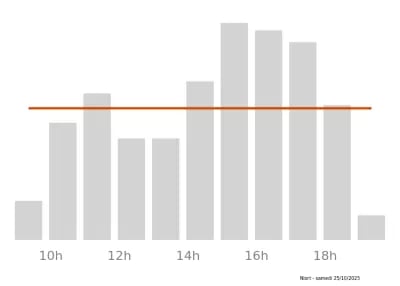 Voir le trafic sur Google maps https://maps.google.com/maps?cid=9184507603481388506