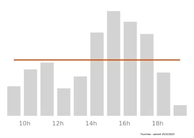 Voir le trafic sur Google maps https://maps.google.com/maps?cid=7087819951902007342