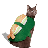 cat in sushi costume