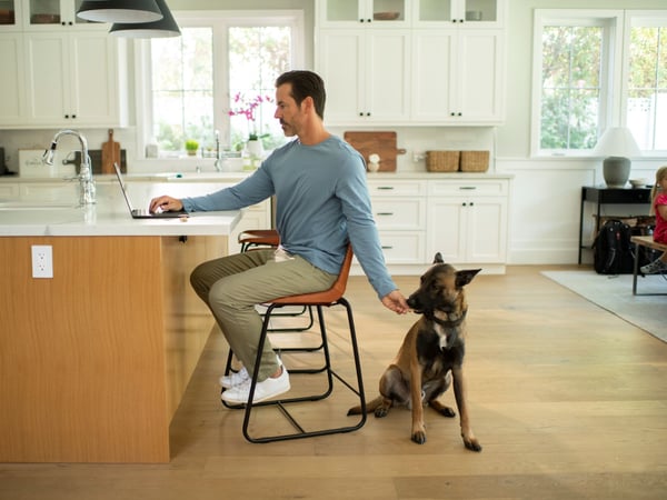 Remote work at home using fast Fiber WiFi