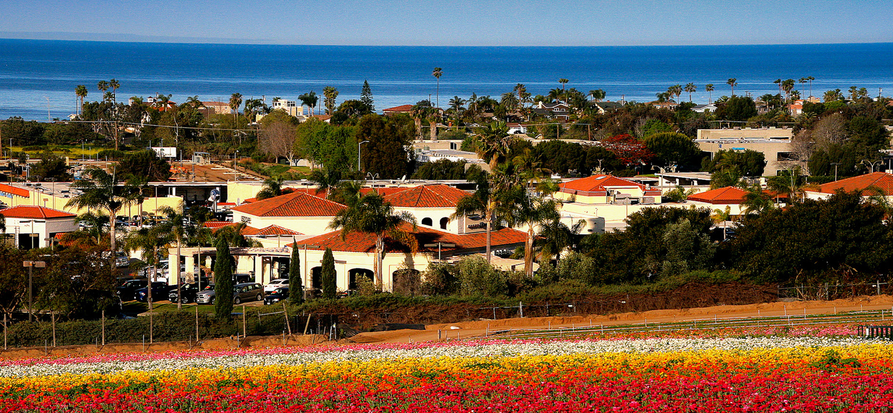 Morgan Stanley Carlsbad Branch Carlsbad CA