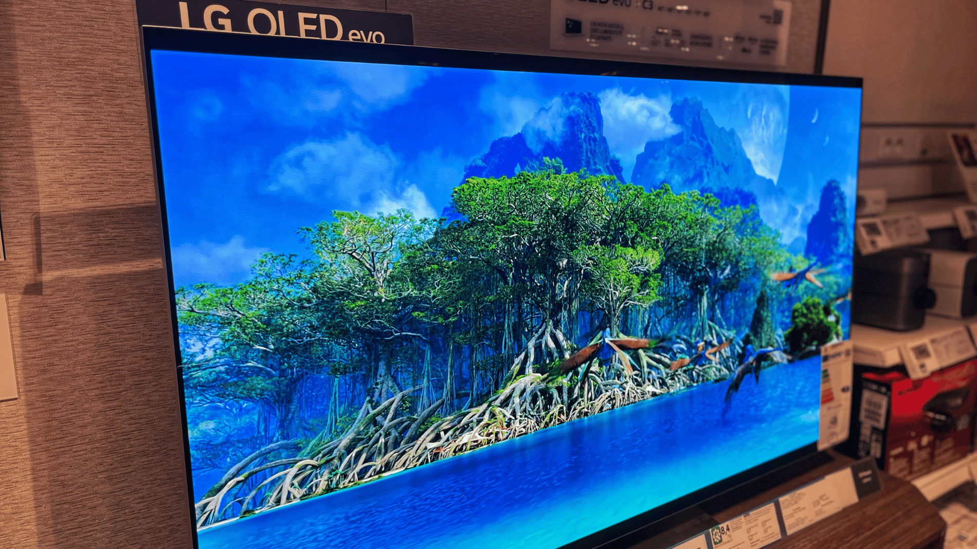 TV LG OLED EVO BOULANGER NICE CAP 3000