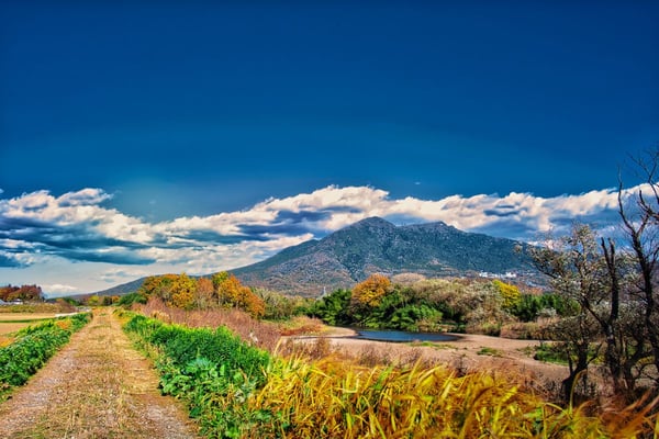 筑波山