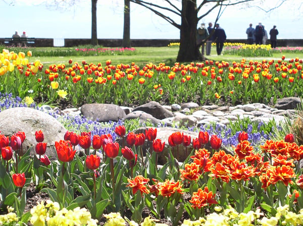 Parc de l'Indépendance