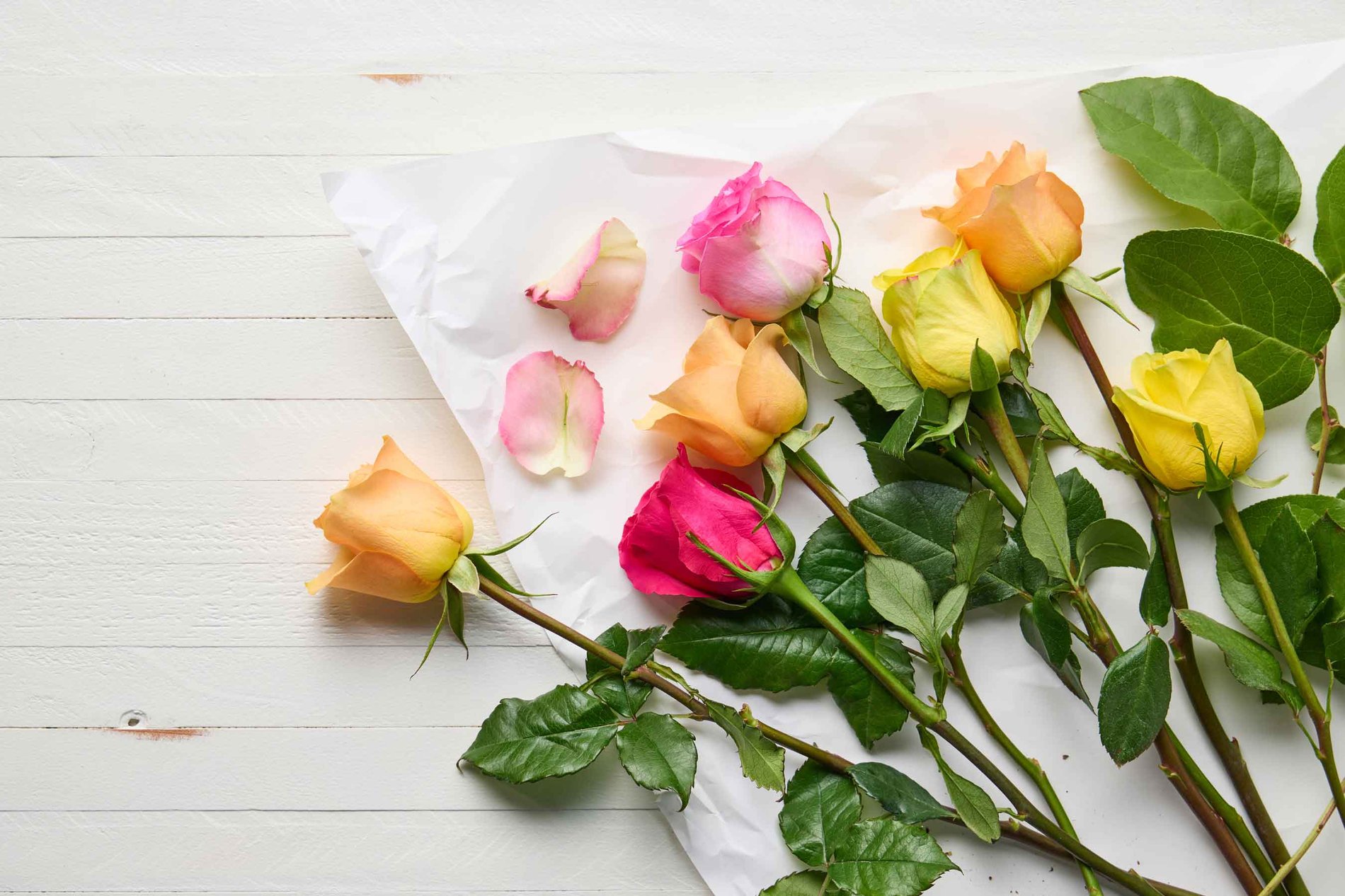 birthday anniversary and sympathy flowers in [address.city]