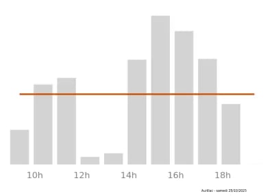Voir le trafic sur Google maps https://maps.google.com/maps?cid=17051437042338694048