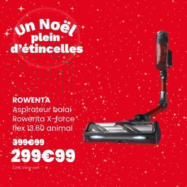 Aspirateur balai ROWENTA X Force Flex 13.60 animal RH9A73WO