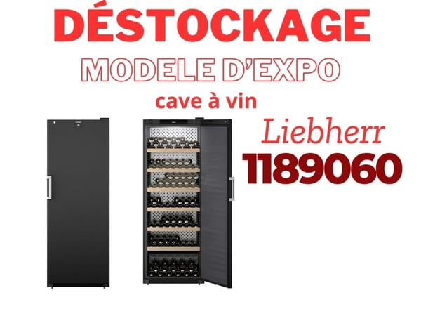 déstockage modèle d'exposition de cave à vin dans votre magasin Boulanger Villefranche sur Saône