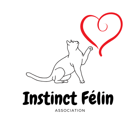 Logo de l'association pour chats et chaton