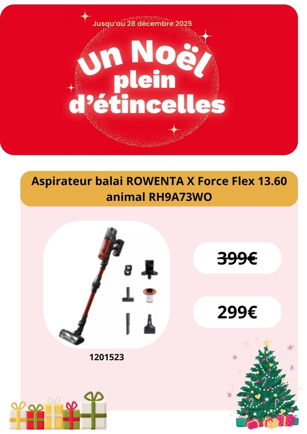 Aspirateur balai ROWENTA X Force Flex 13.60 animal RH9A73WO