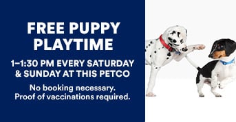 Free Puppy Playtime | 1-1:30 PM Every Saturday & Sunday Through April 28th at this Petco | No booking necessary. Proof of Vaccinations required.
