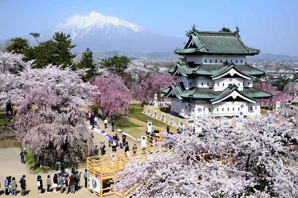 桜に埋もれる弘前城天守と雪の岩木山のコラボに感動【青森県】 | JTBリモートコンシェルジュ トラベルコンサルタントのおすすめ旅