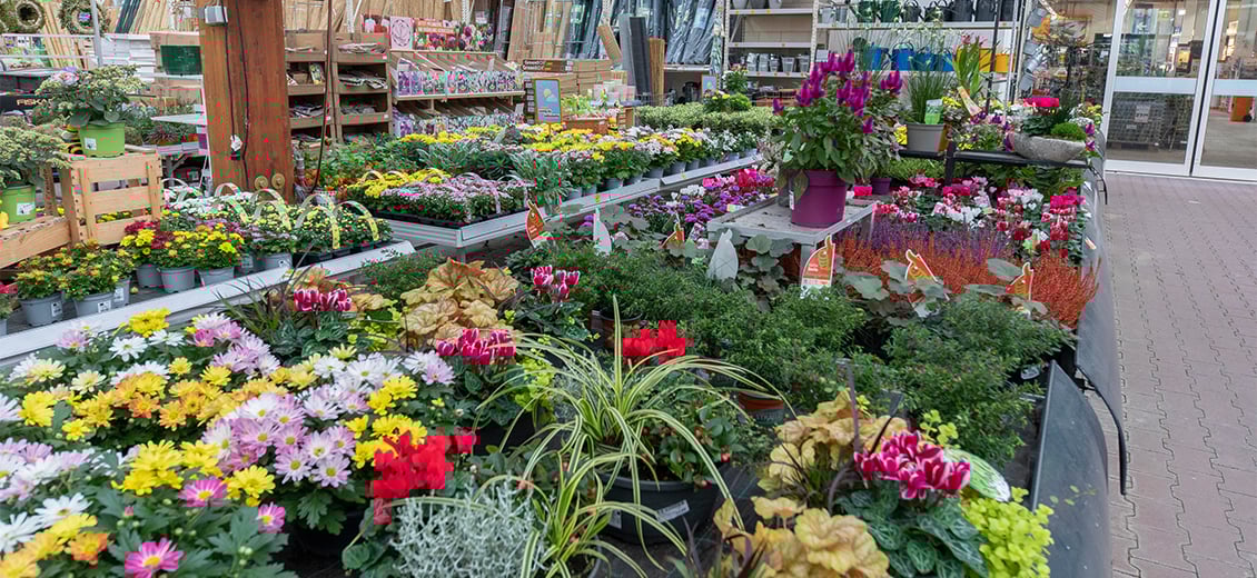 Dein OBI Markt Königswinter, Im Mühlenbruch 4