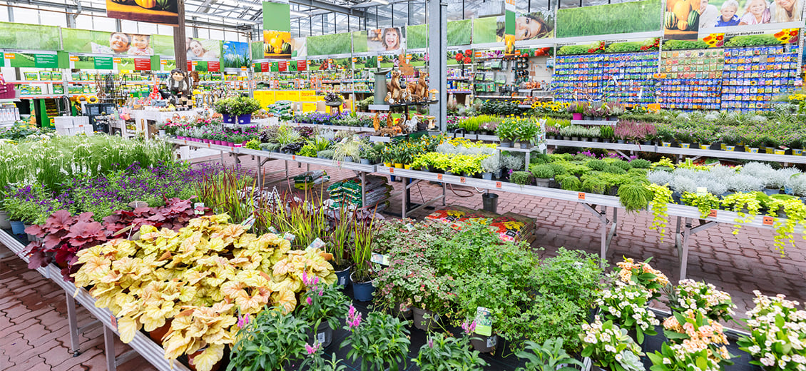 Dein OBI Markt Alfter, Alfterer Str. 3537