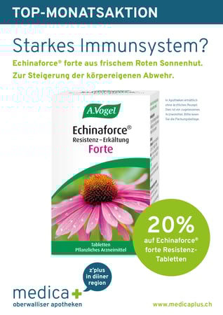 MONATSAKTION November 2025