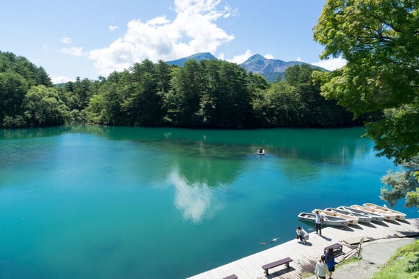 毘沙門沼の風景