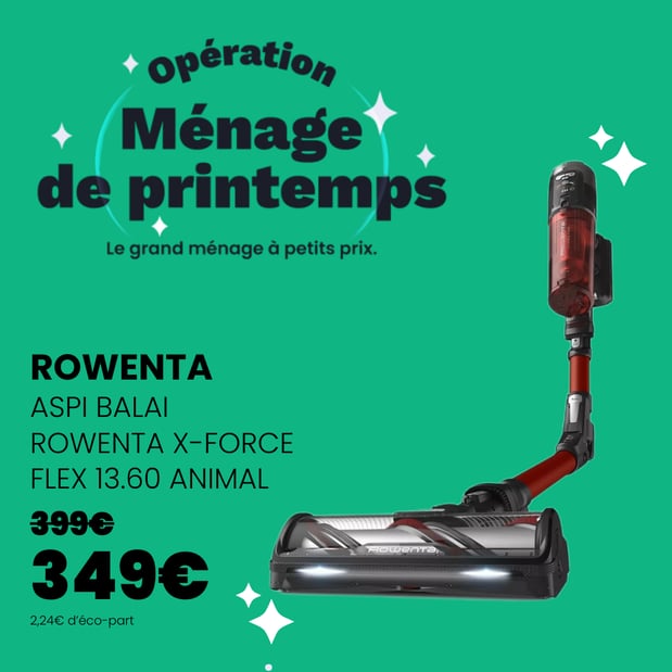 Aspirateur balai ROWENTA X Force Flex 13.60 animal RH9A73WO
