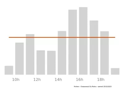 Voir le trafic sur Google maps https://maps.google.com/maps?cid=13962488517531307238