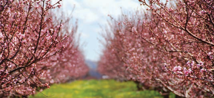 Hero Background Image