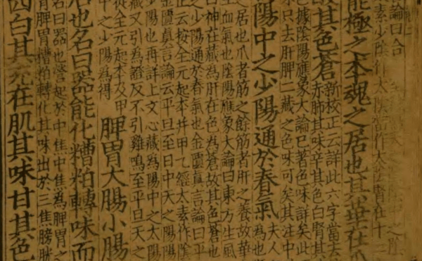 Praxis Dr. med. CHEN. Detail aus dem Huang di Neijing 206. v. Chr, Buch des Gelben Kaisers zur Inneren Medizin. Chr.