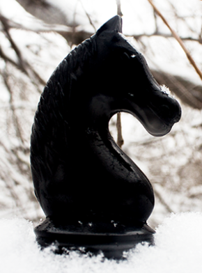Icon Image