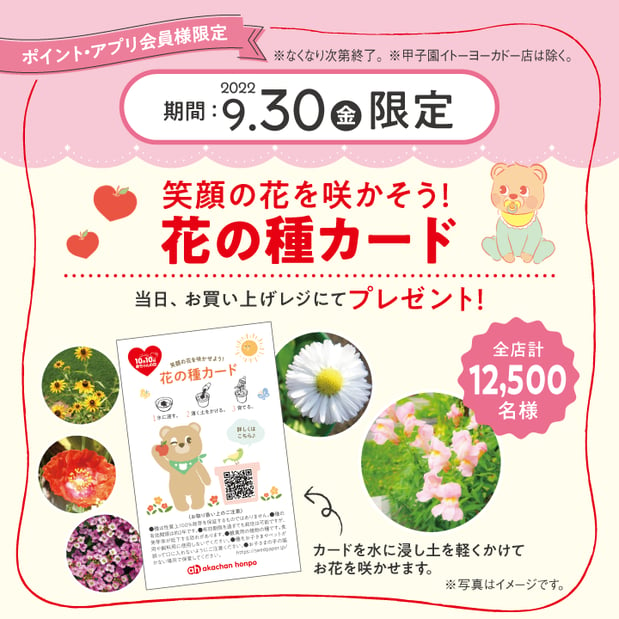 【イベント】9/30(金)当日お買物された会員様先着200名様にレジにて花の種カードプレゼント♪