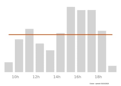Voir le trafic sur Google maps https://maps.google.com/maps?cid=15559771696692018429